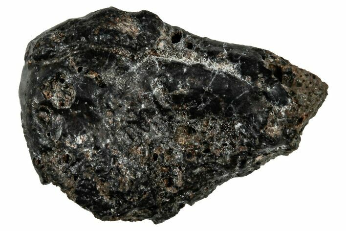 Ait Saoun EH/EH Chondrite Meteorite ( g) - Fresh Fall! #304165